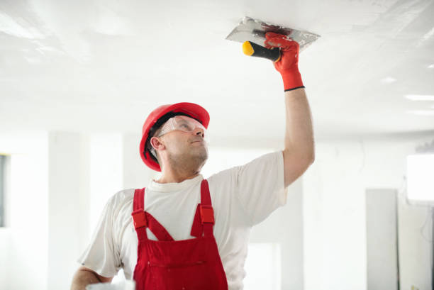 Best Eco-Friendly and Low-VOC Painting  in New London, WI